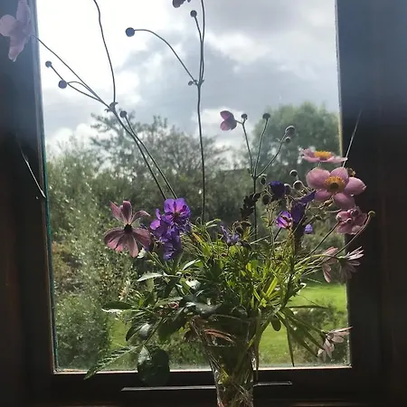 Tranquil Water Oda ve Kahvaltı Midleton