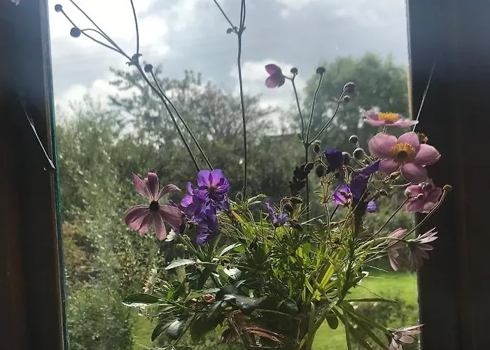 Tranquil Water Bed & Breakfast Midleton